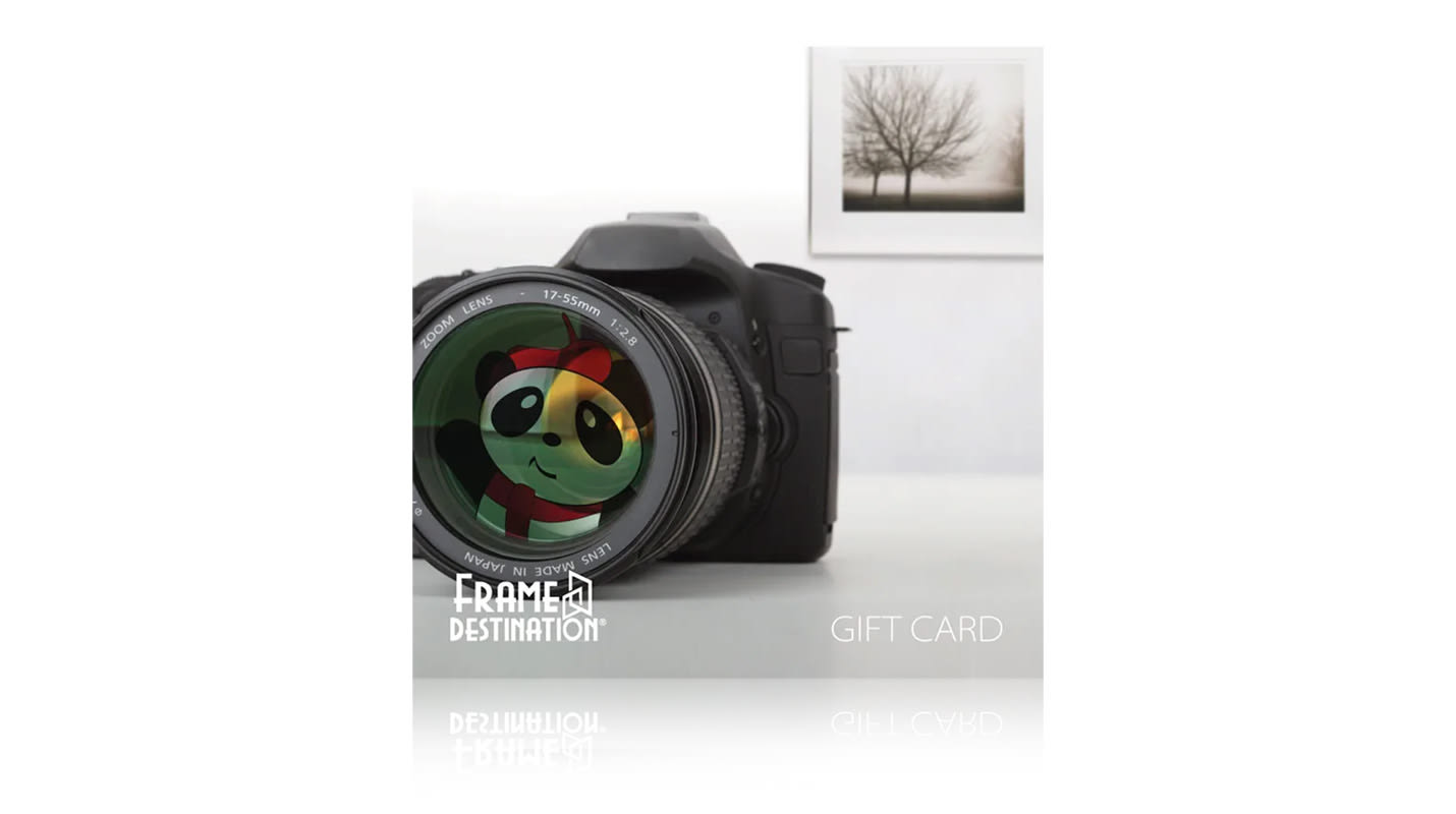 Professional Picture Frames