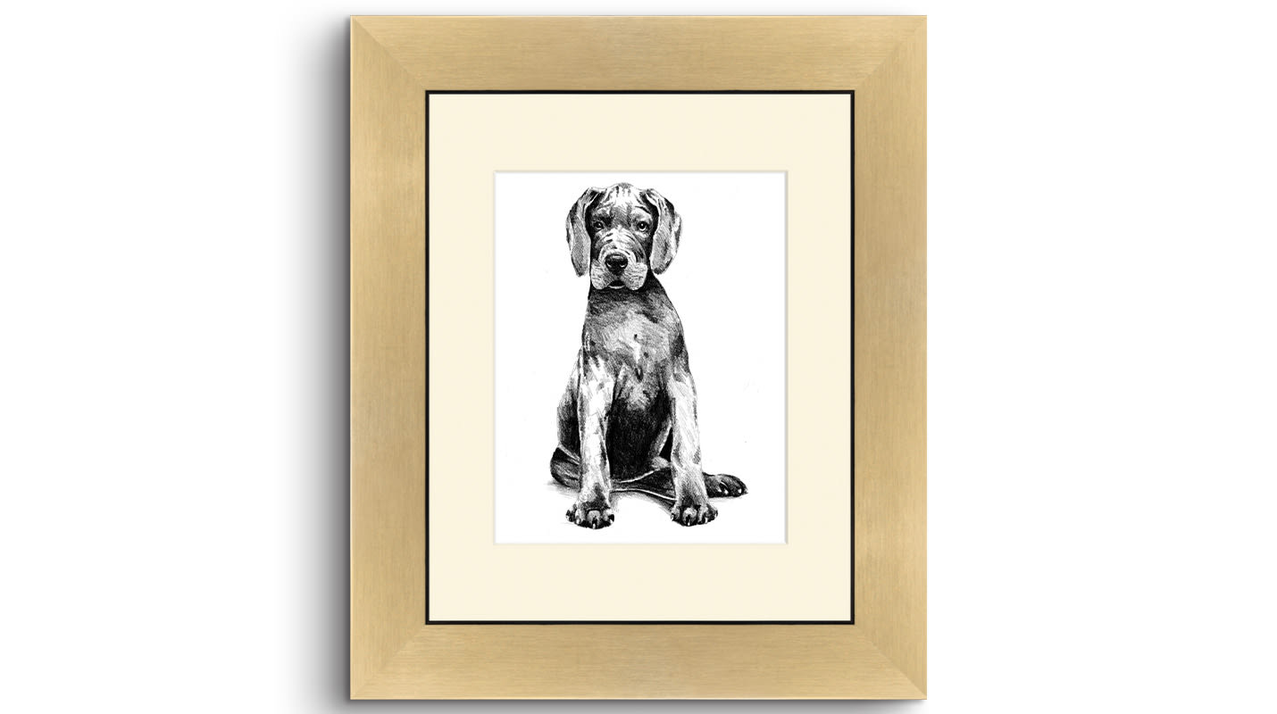 Picture Frame