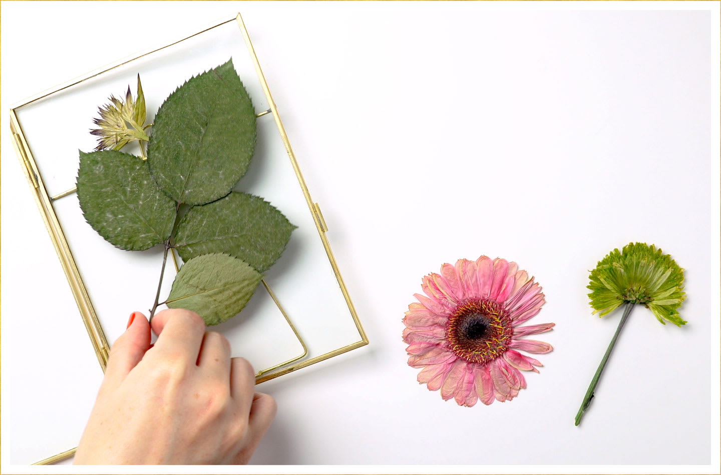 DIY botanical framed print step 2