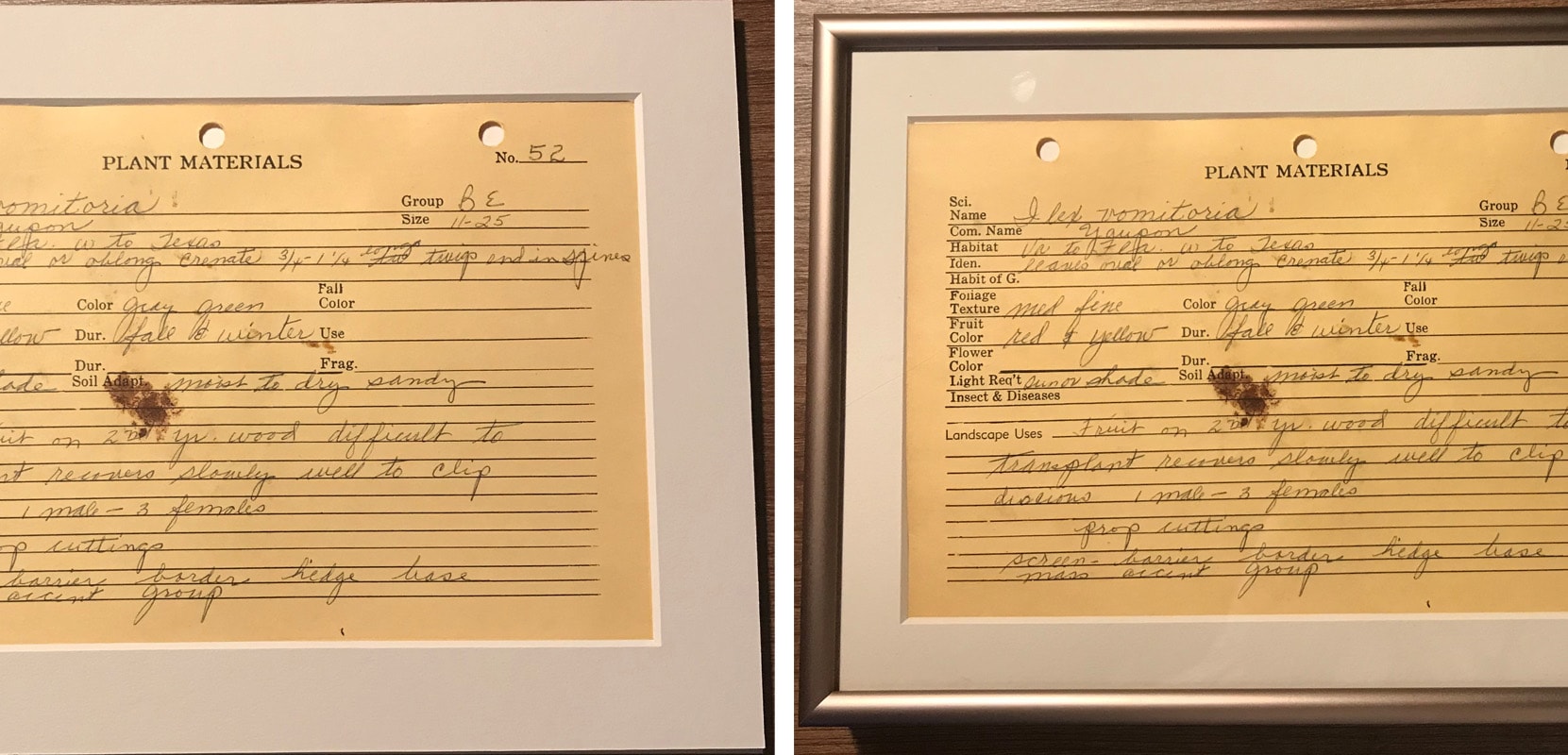 mounted paper in frame