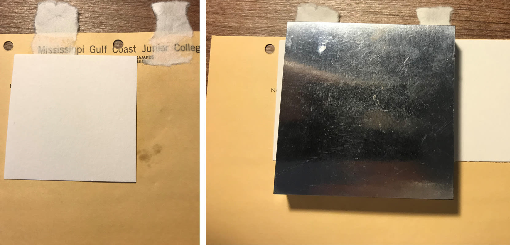 Plant ID card