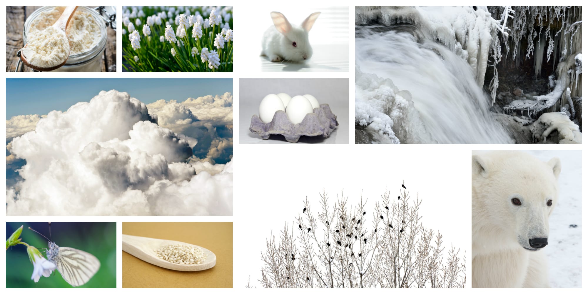 Frame Destination - Collage of Shades of White