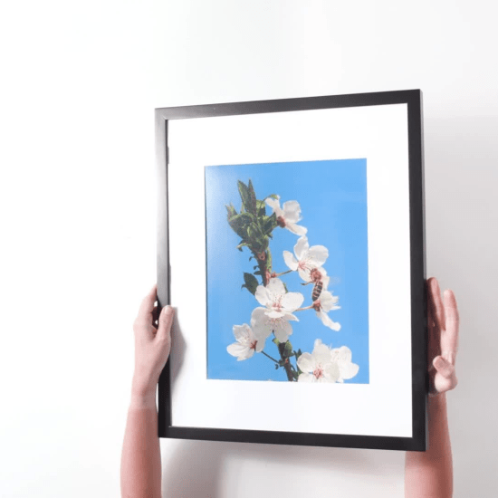 5 x 7 picture frames  Online framing service – Frameology