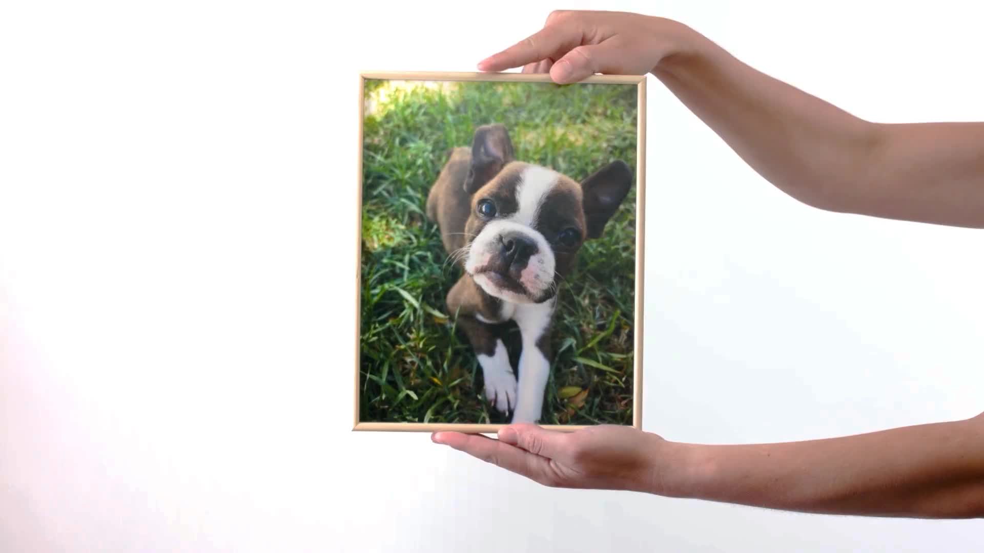 Frame A Photo Online, Starting At $19