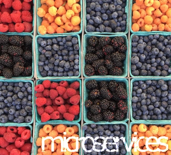 Microservices with Docker Training Course Microservices with Docker Training Course