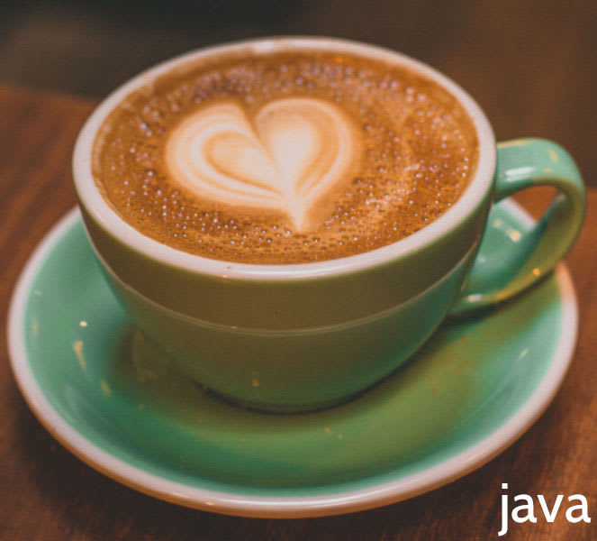 Java Training Course (Introduction to Java 13+) Java Training Course (Introduction to Java 13+)