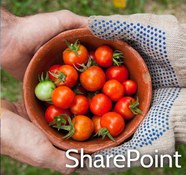 Intro to SharePoint Designer and Workflows Training Course Intro to SharePoint Designer and Workflows Training Course