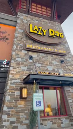 Franki foodthatsmacks Lazy Dog Restaurant Bar