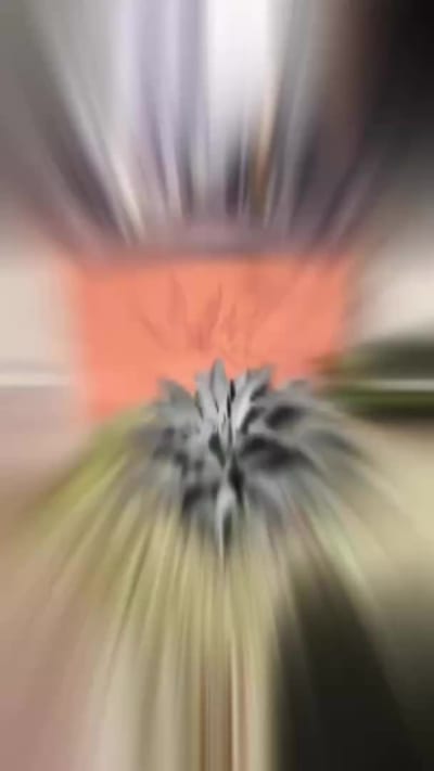 Review media