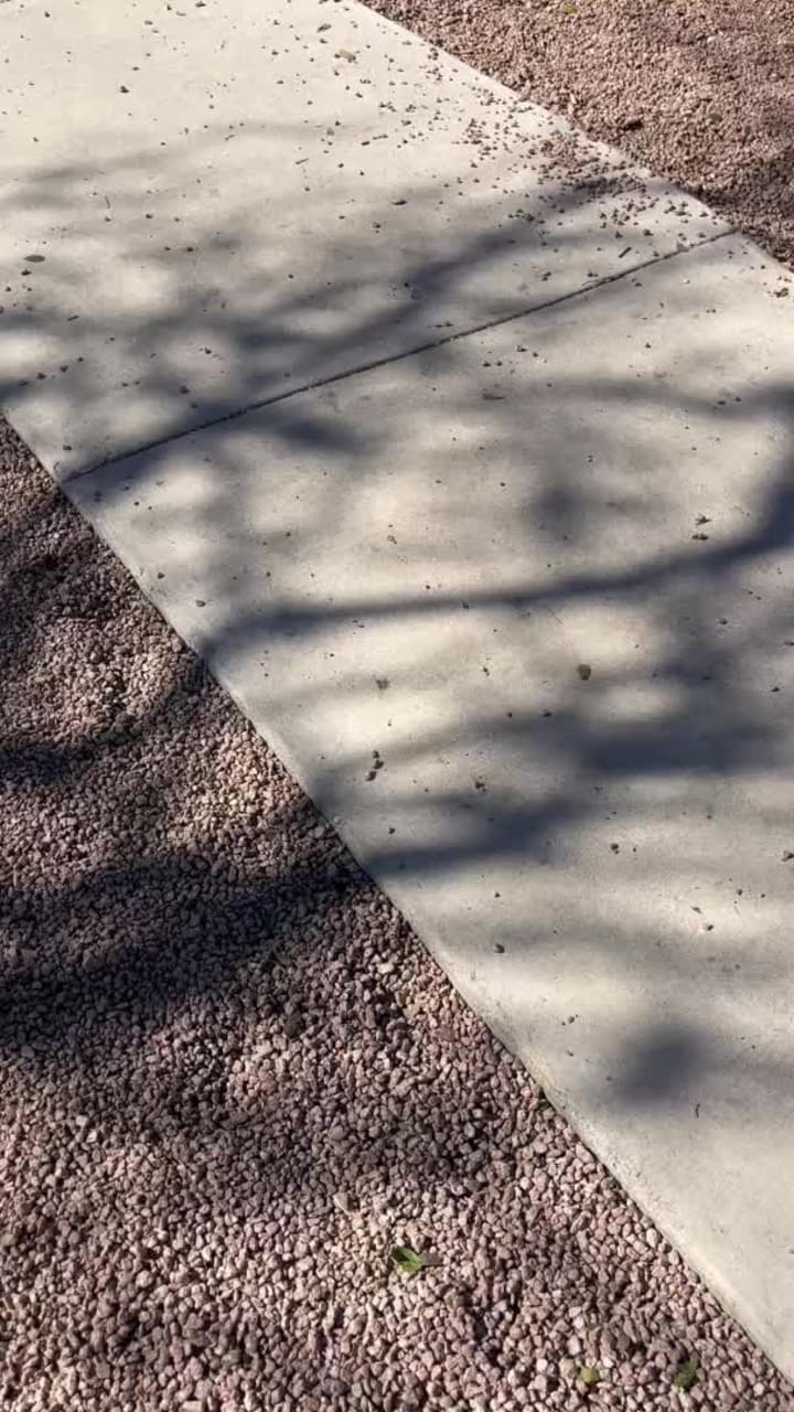 Review media