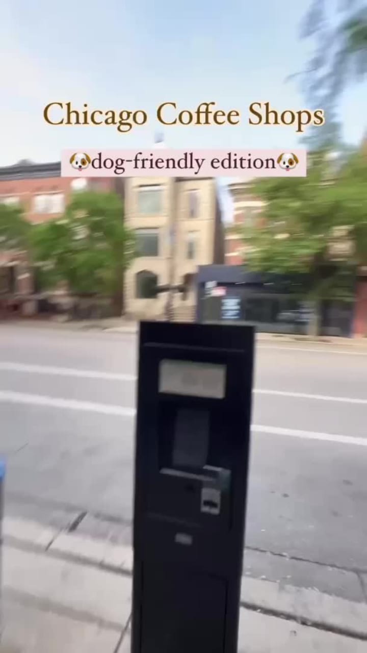 Review media