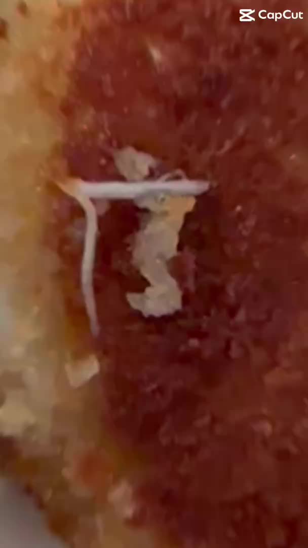 Review media