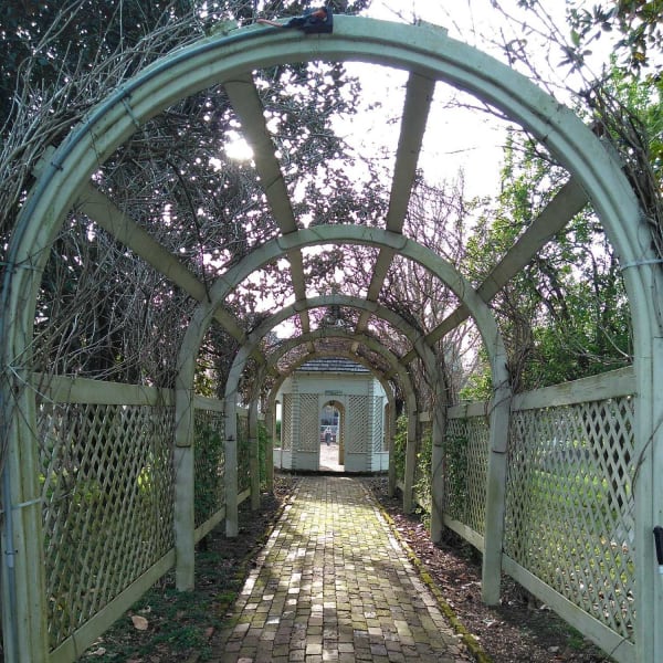Photography example 10 (opens full size in a new tab)
