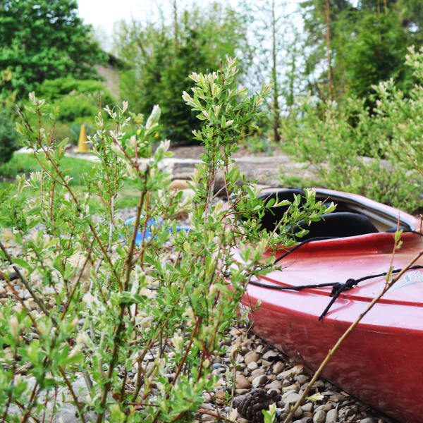 Photography example 7 (opens full size in a new tab)