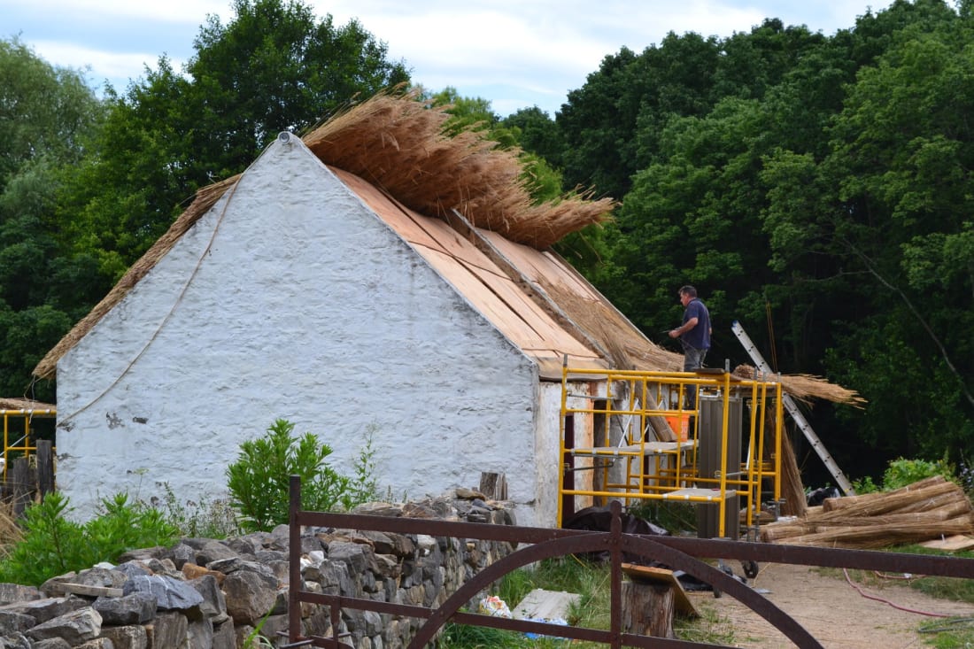Thatching the roof to one of the farm's outbuildings image