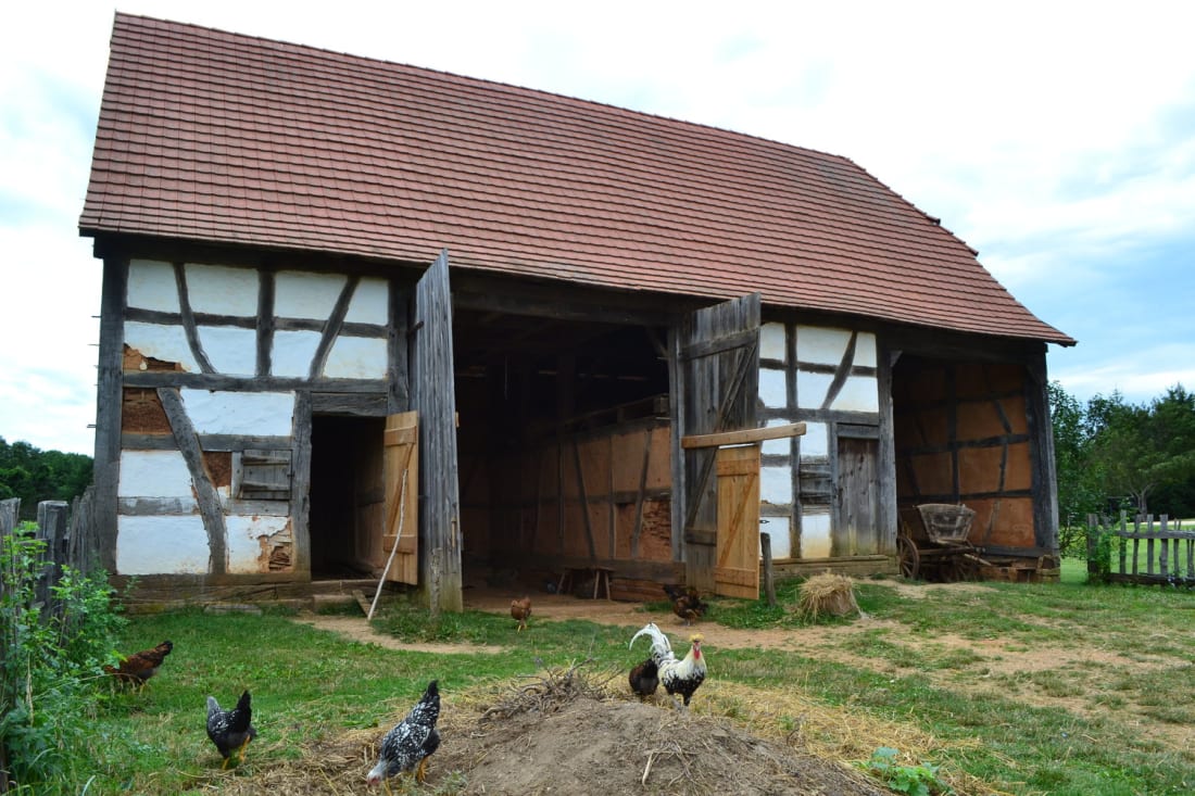 1700s German farm, barn and chickens image
