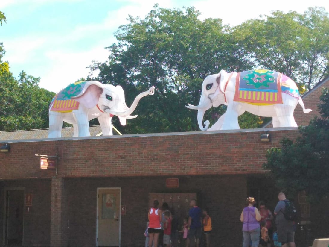 Or on a roof, in the case of these elephants. image