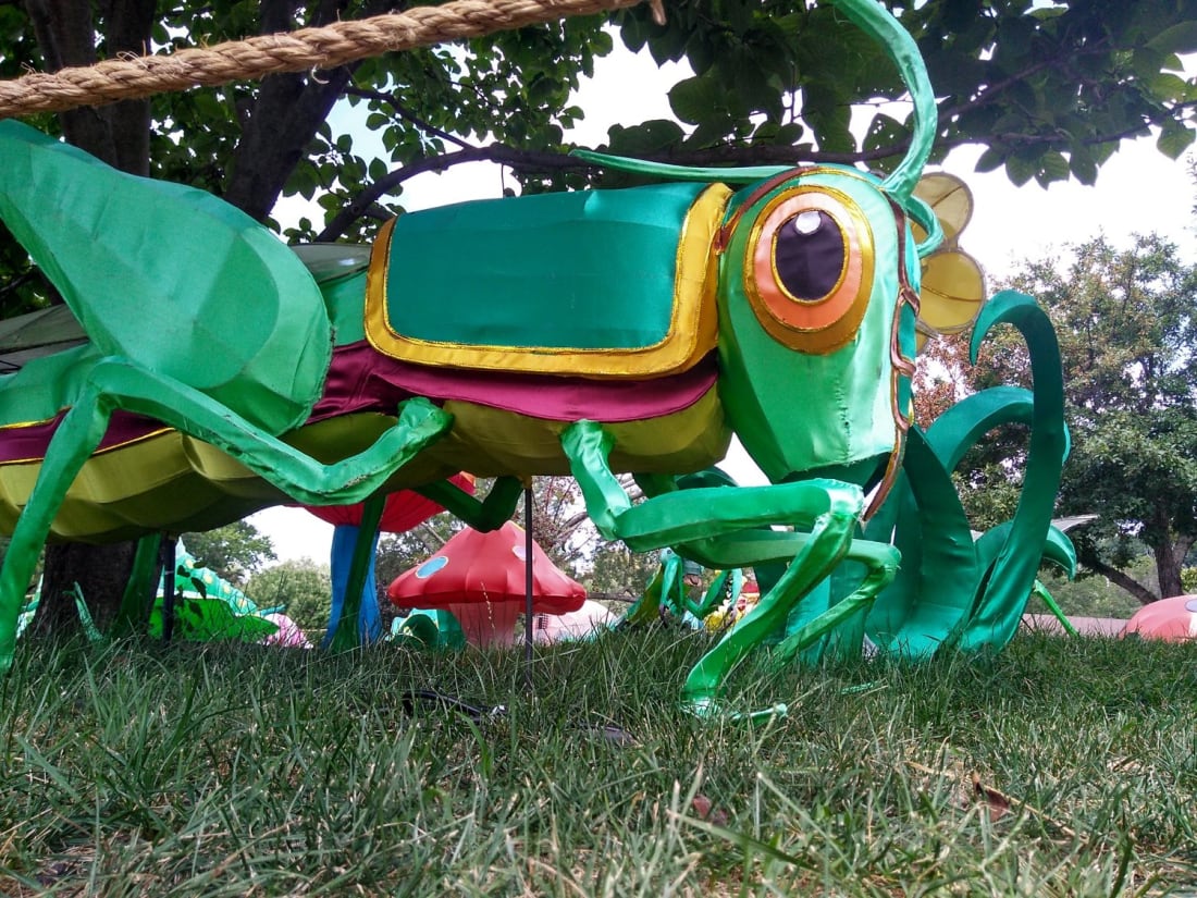 Down at bugs-eye level image