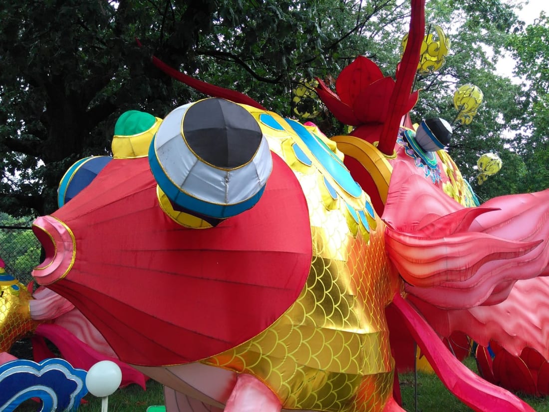 From 'Prosperous Fish,' greeting visitors in the parking lot. In China, the word for 'fish' ('Yu') is a homophone for 'abundance' and 'affluence.' The Tiyanu informative sign tells us that 'having fish during any festival meals represents having an abundance in the coming year.' image