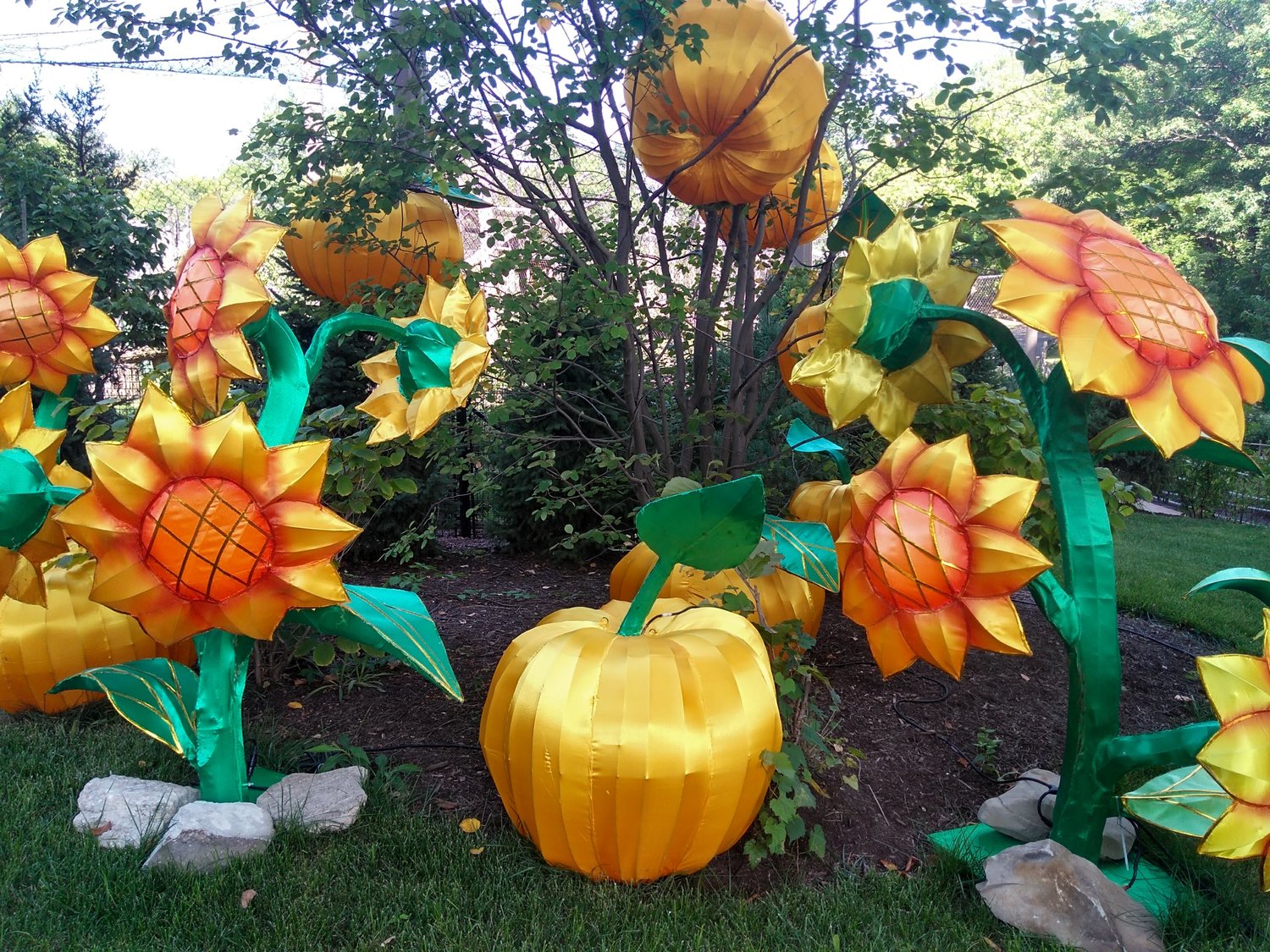 chinese lantern festival cleveland zoo