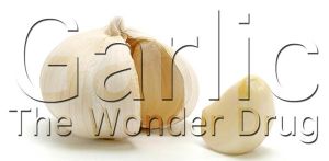 proven health benefits of garlic
