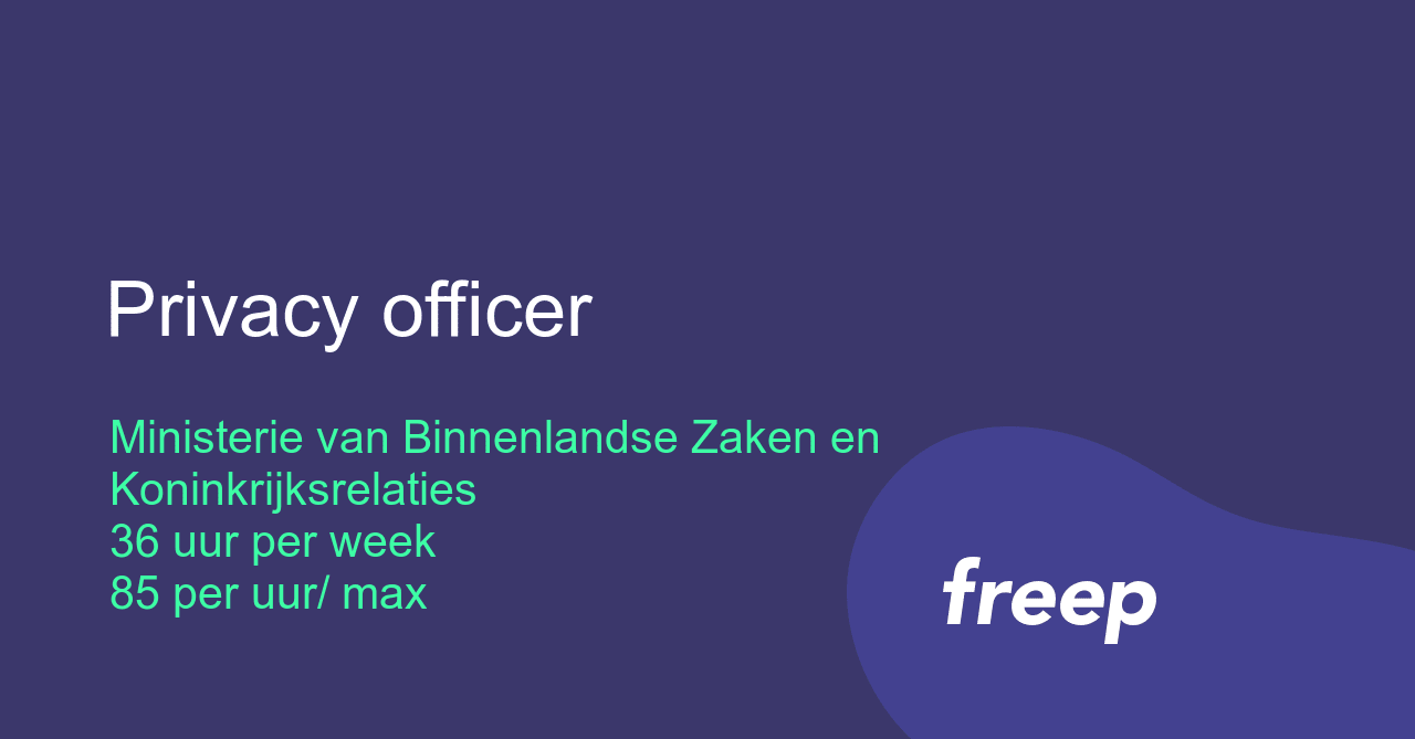 Privacy officer bij Ministerie van Binnenlandse Zaken en ...