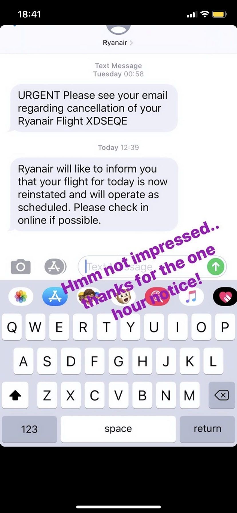 Ryanair 1.jpeg