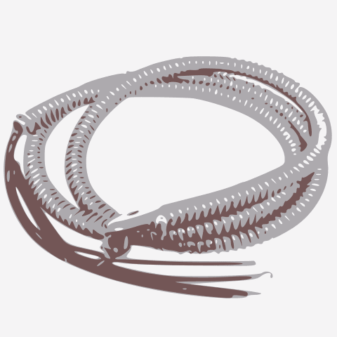 4-Wire Hi-Temp Whip - Multiple Lengths