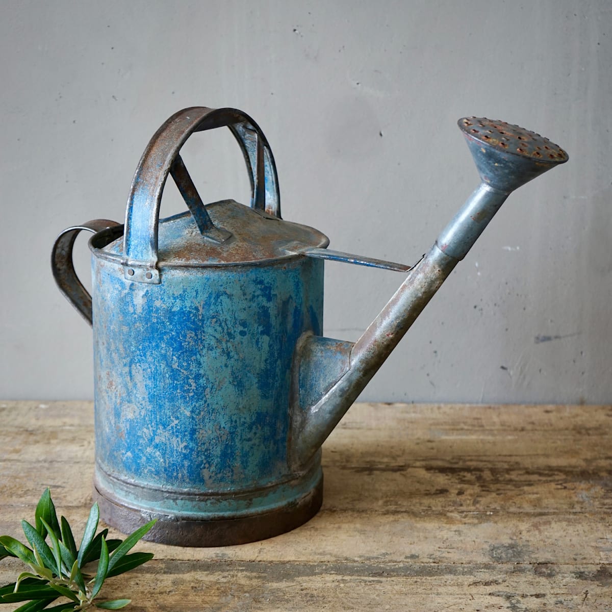 French Zinc Watering Can