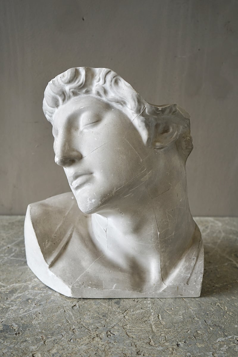 Plaster Bust after Michelangelo