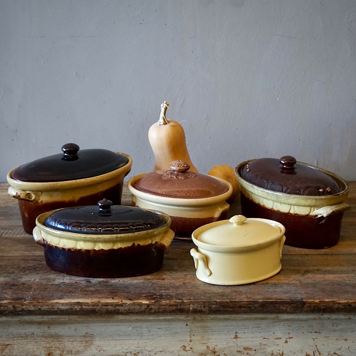 French Earthenware Terrine Dishes