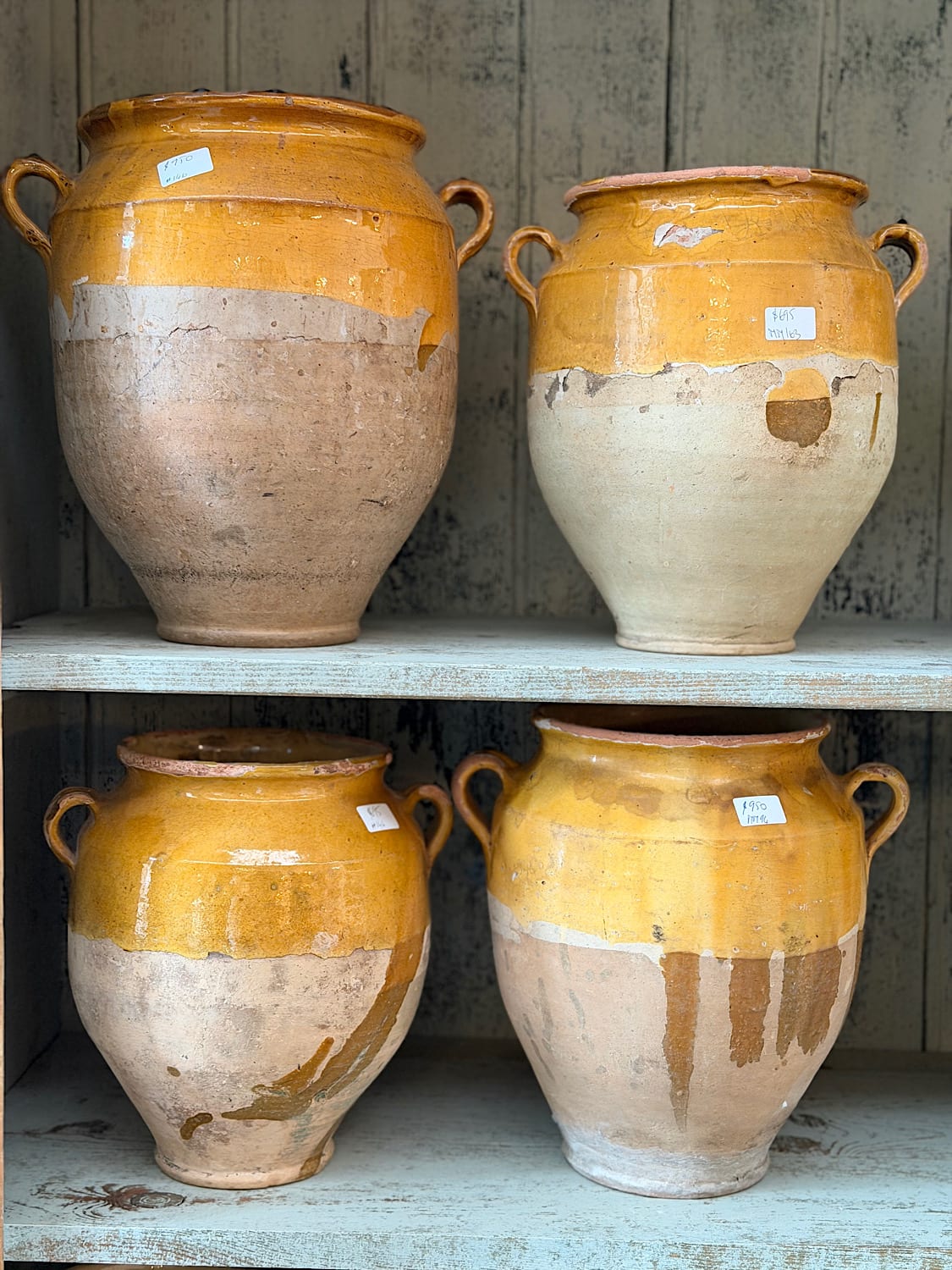 Yellow Confit Pots
