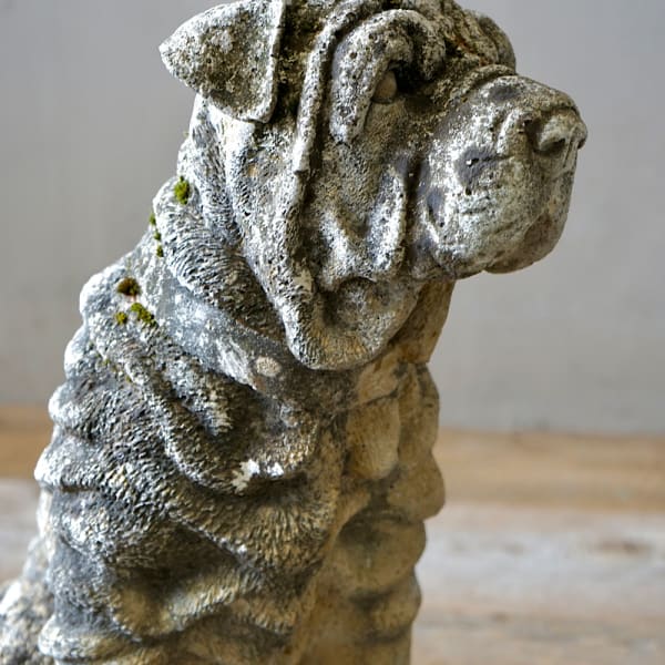 Cast Stone Shar Pei Dogs