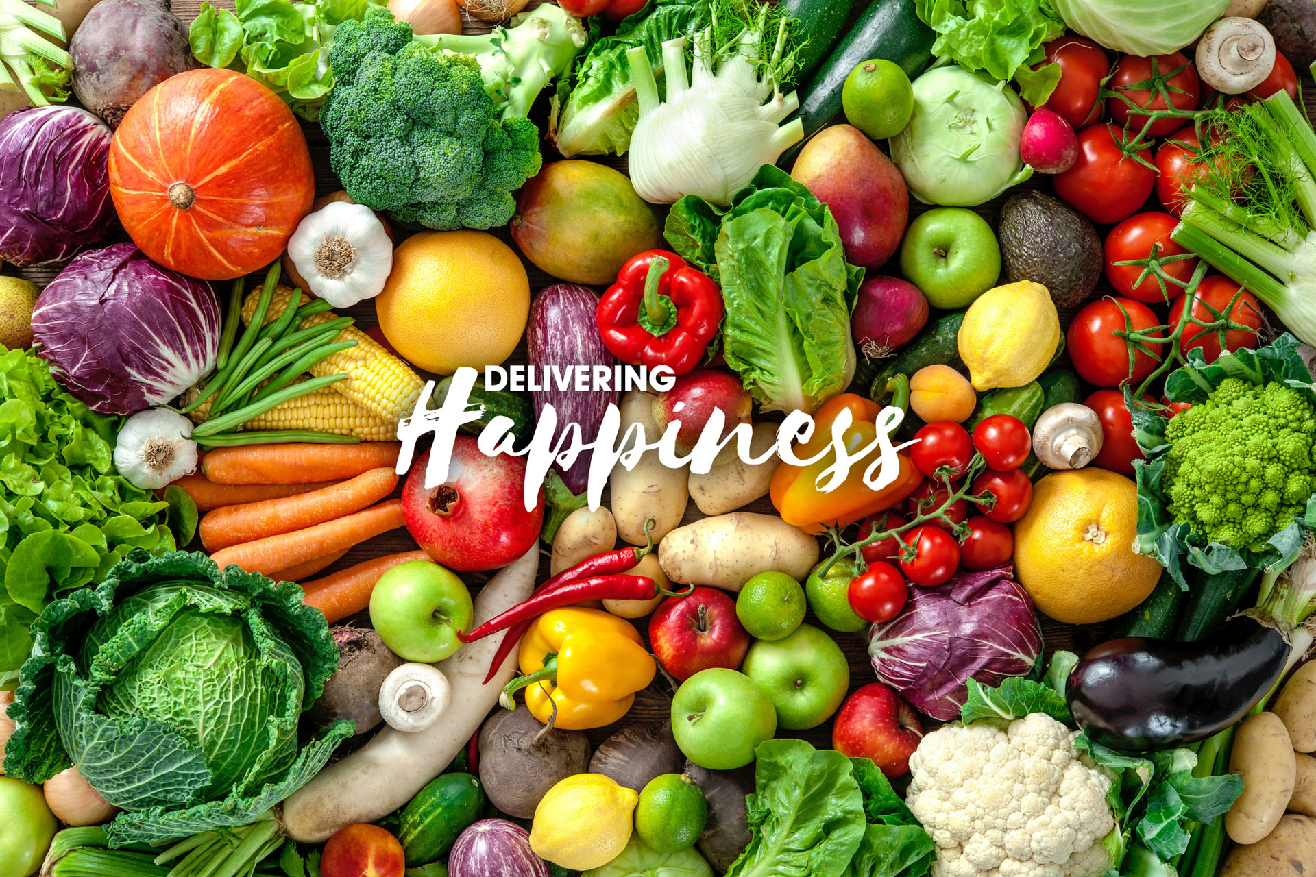 Fresh In The Box MeaningKosh