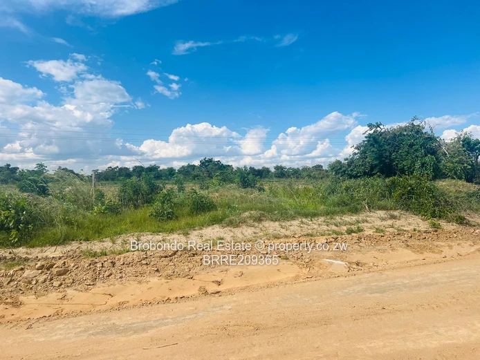 Lake City Chivero stands for sale (Sole Mandate) - Image 4