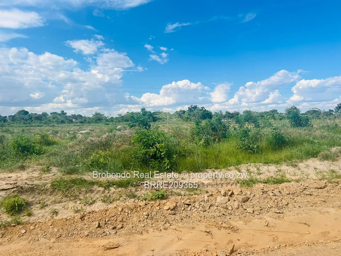 Lake City Chivero stands for sale (Sole Mandate) - Image 2