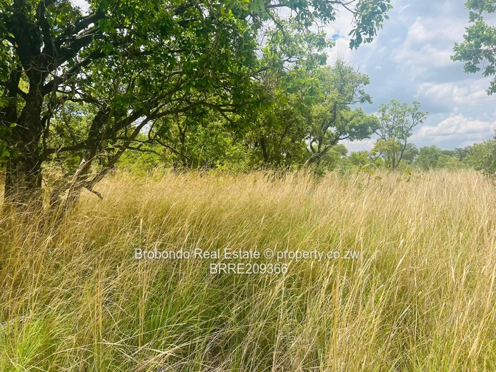 Norton Niklot Plot for sale (Sole Mandate) - Image 2