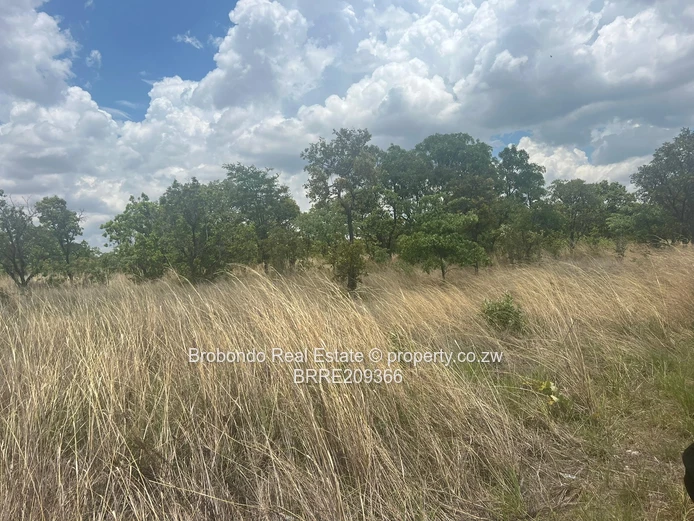 Norton Niklot Plot for sale (Sole Mandate) - Image 4