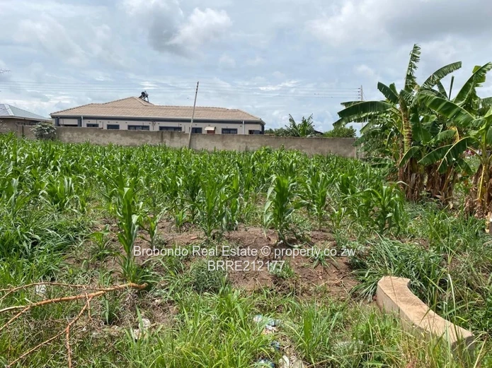 Glaudina-UZ Development 2 stands for sale (Sole Mandate) - Image 2