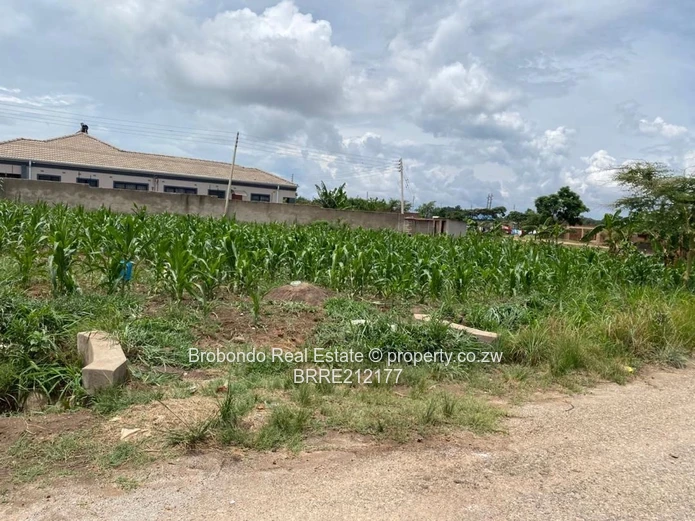 Glaudina-UZ Development 2 stands for sale (Sole Mandate) - Image 4