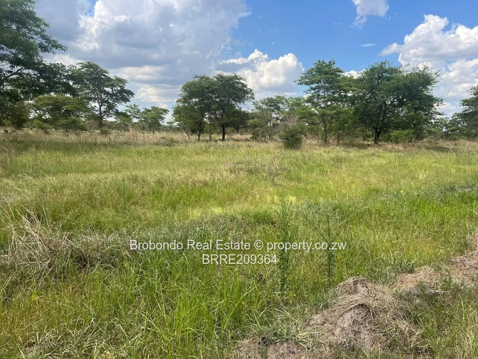 Norton Mwashuma Park Phase 2(2 Stands) (Sole Mandate) - Image 4