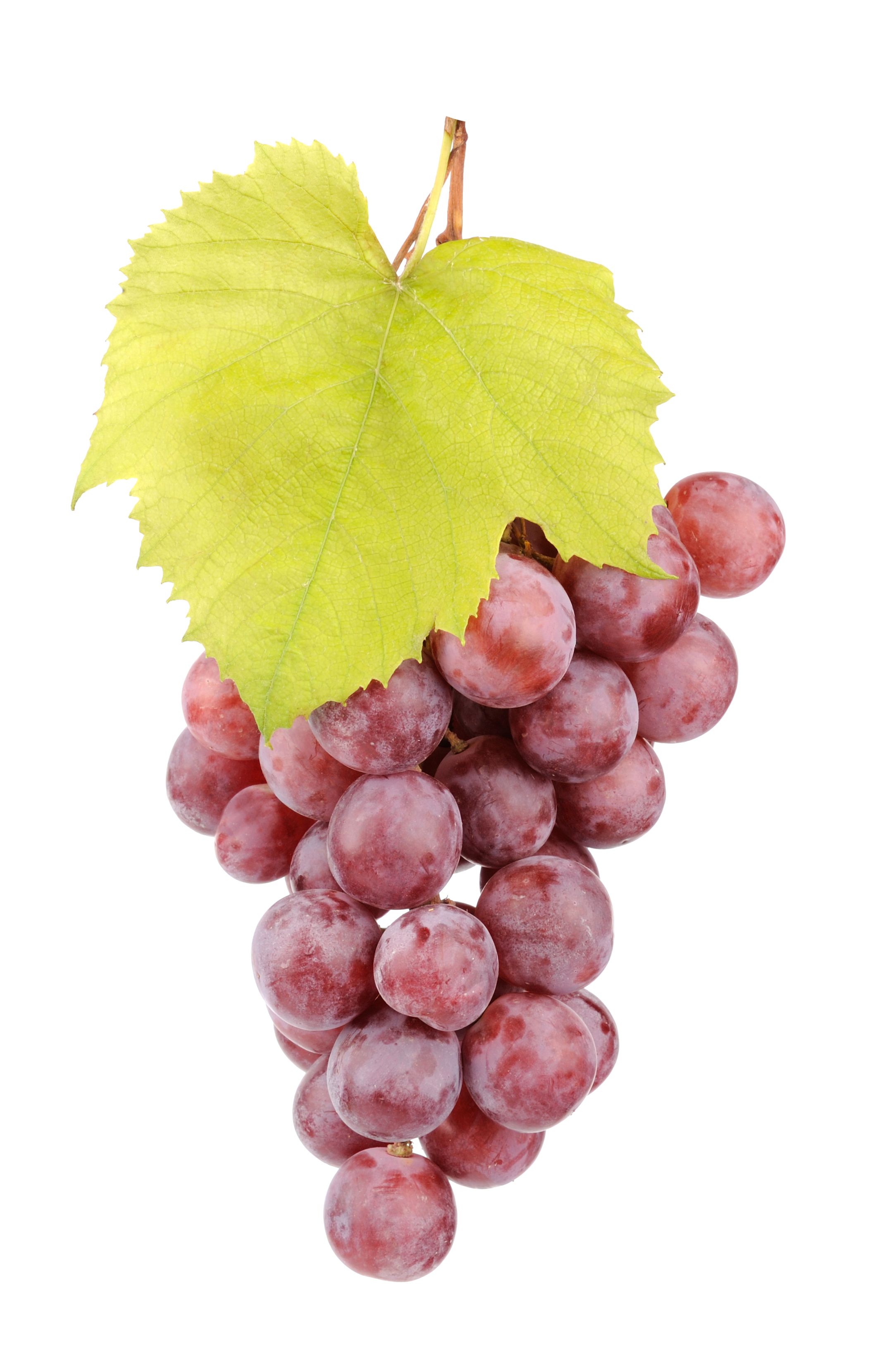 Red Grapes