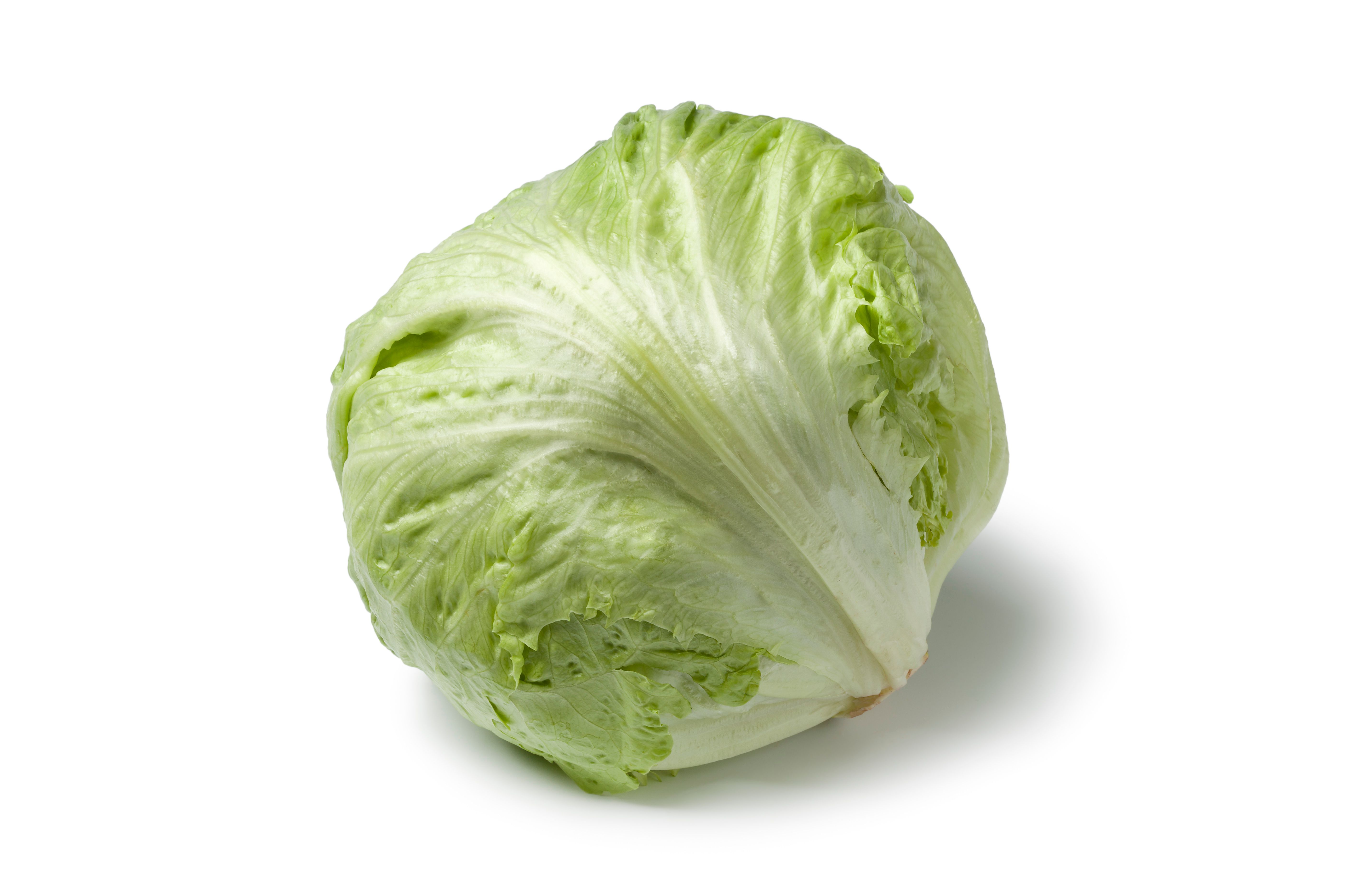Iceberg