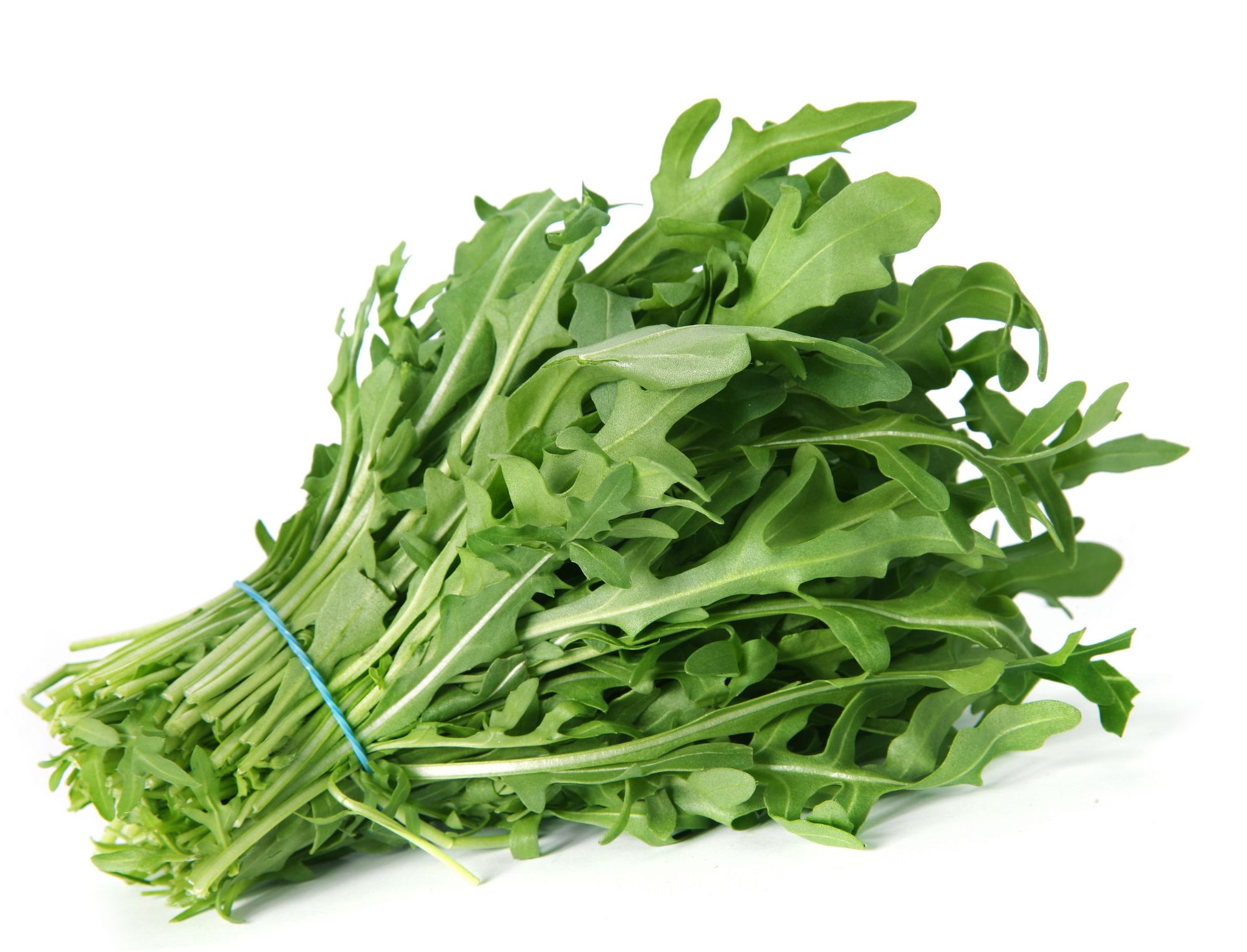 Baby Arugula 