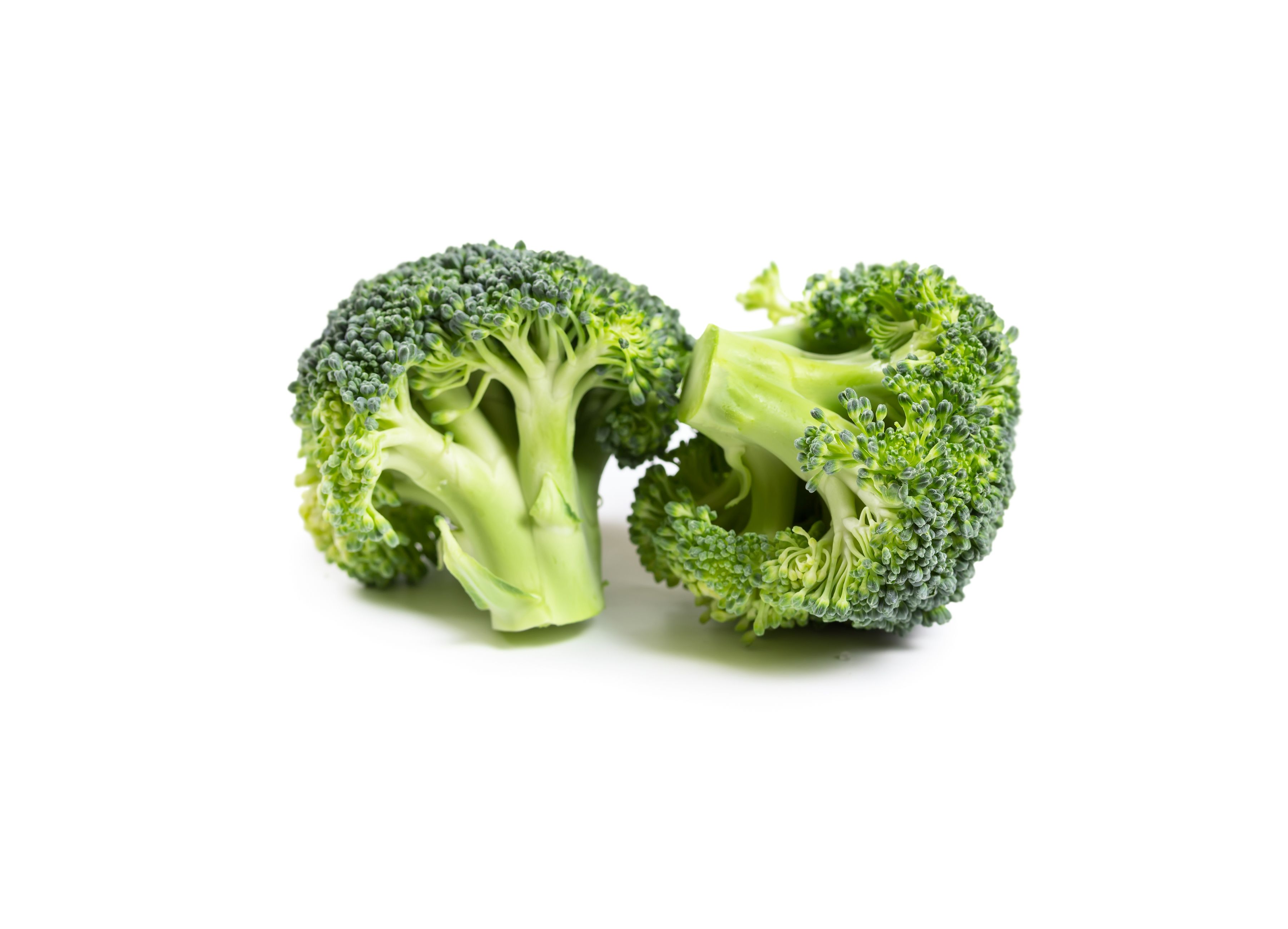 Broccoli