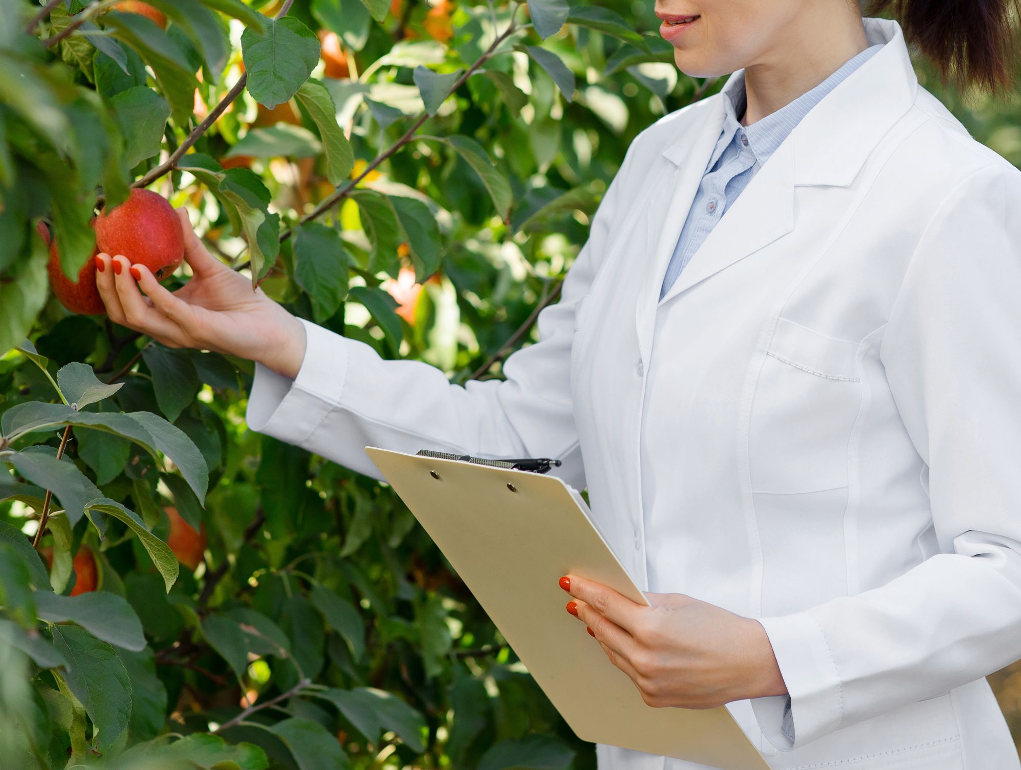 Our Quality Assurance