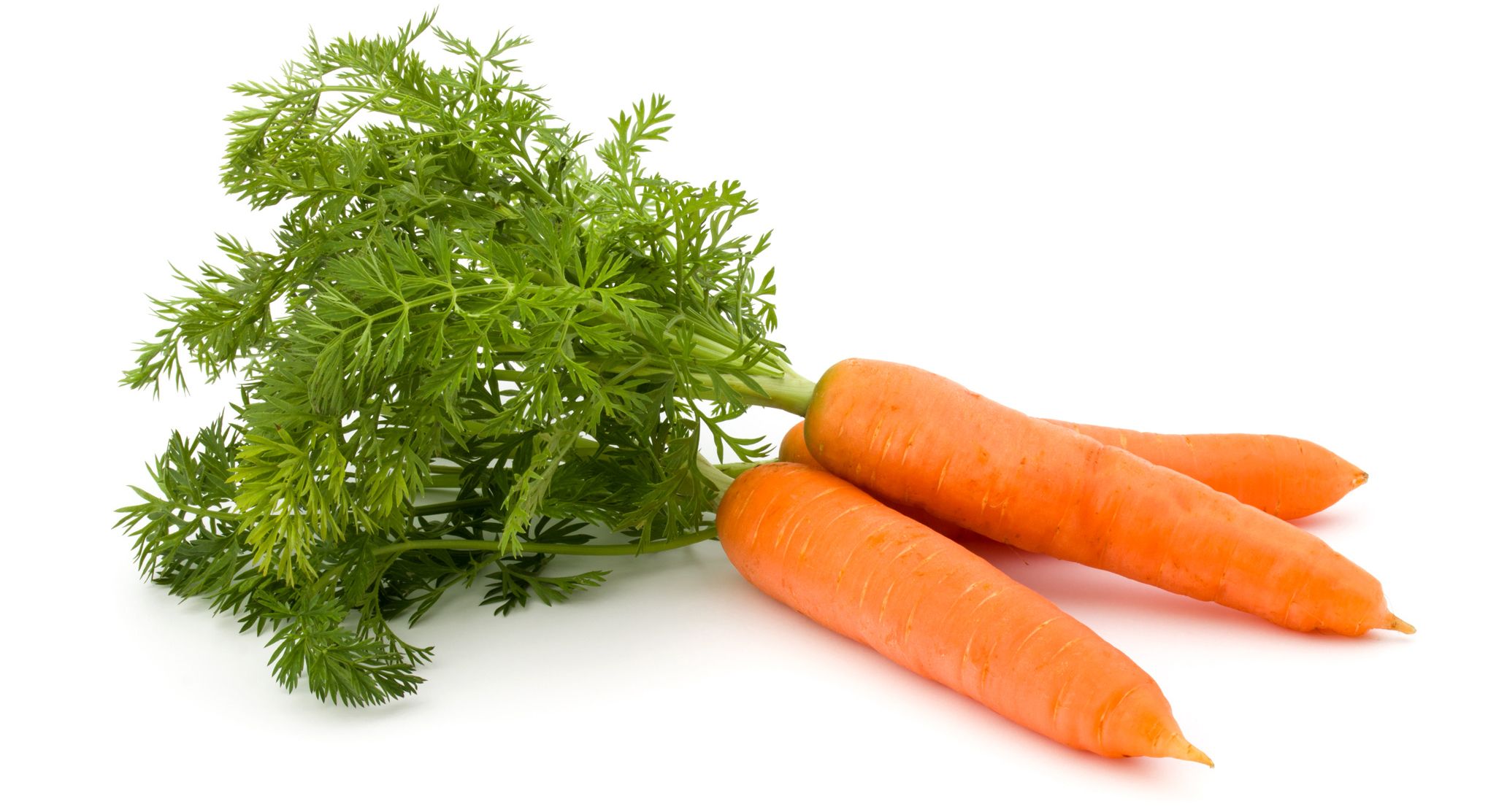 Table Carrots