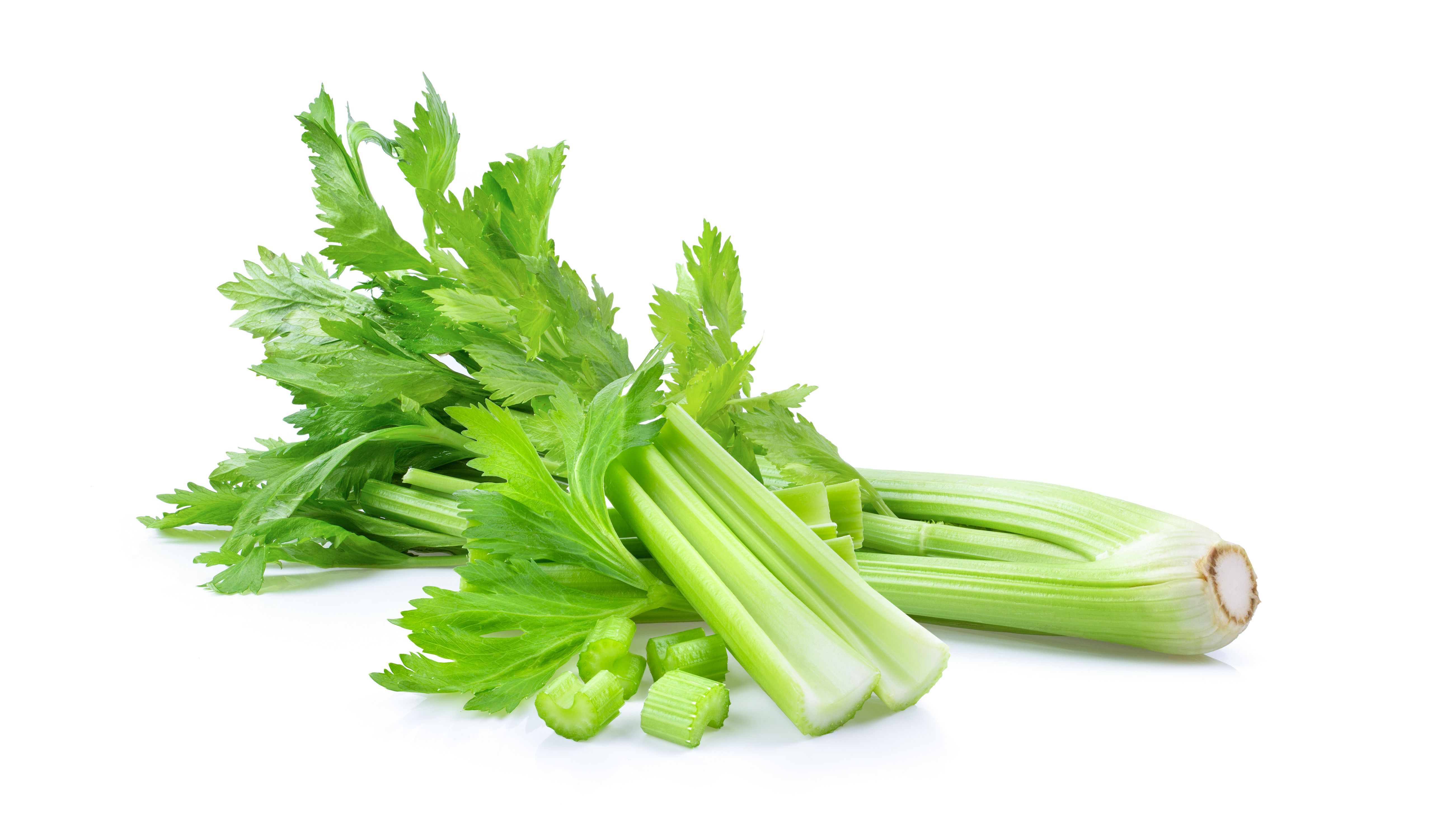 Celery