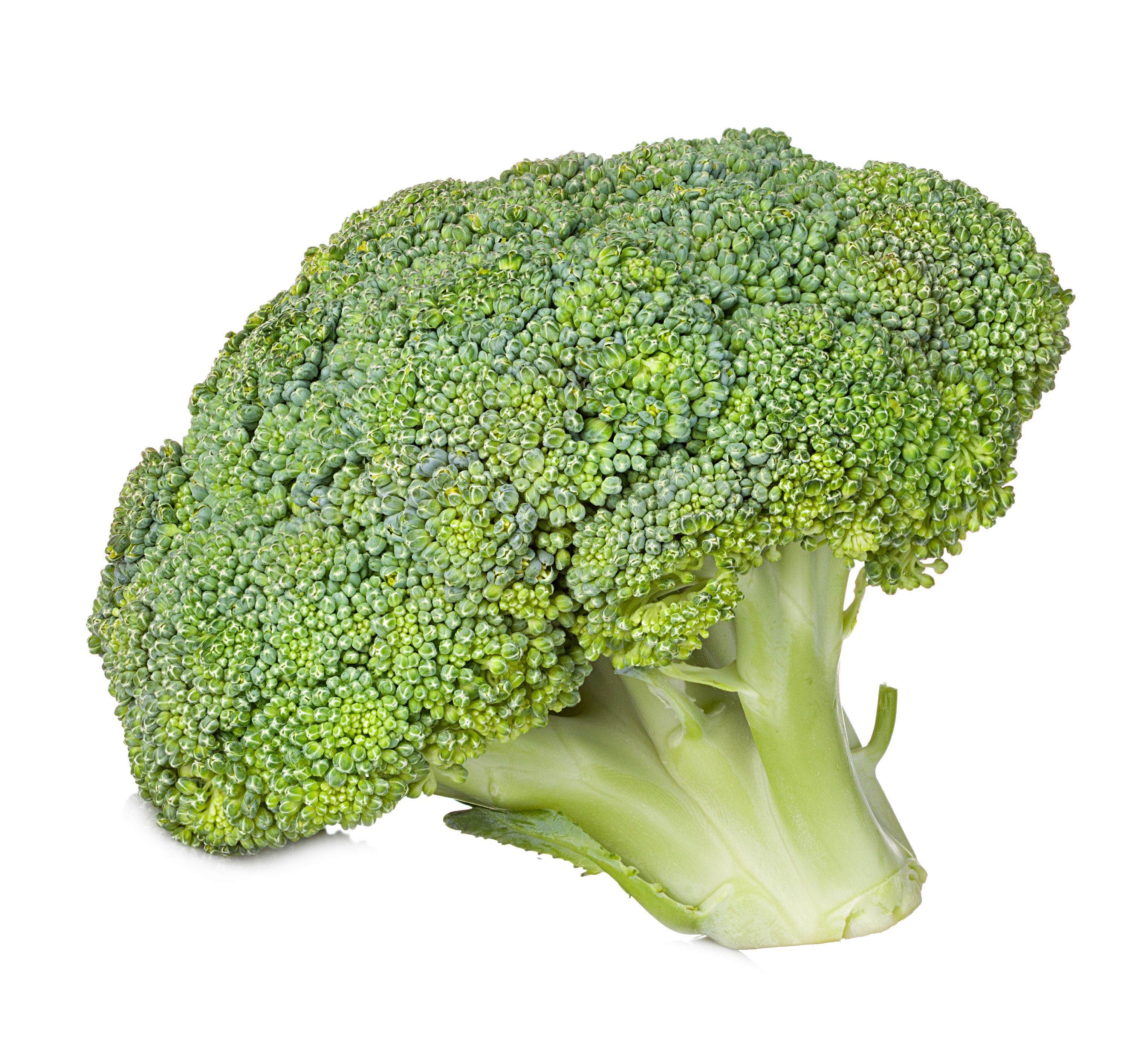 Broccoli