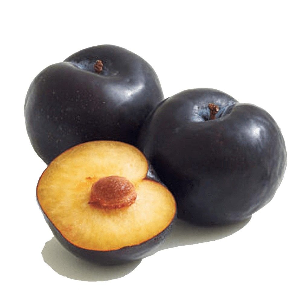 Black Plum